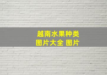 越南水果种类图片大全 图片